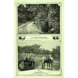  1907 Print Roadside Barrel Runnel VT Horseback Rider MD 