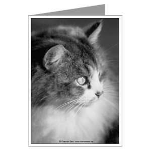  Sympathy   Cat 6 Cat Greeting Cards Pk of 10 by  