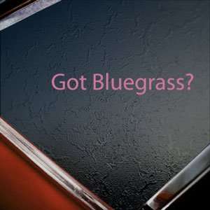  Got Bluegrass? Pink Decal Country Bluegrass Violin Pink 