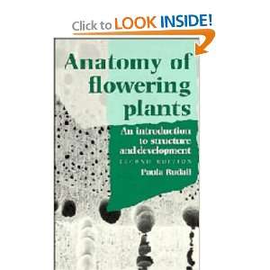  Anatomy of Flowering Plants An Introduction to Structure 