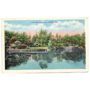  1940s Vintage Postcard   Glen Oak Park Lake   Peoria 