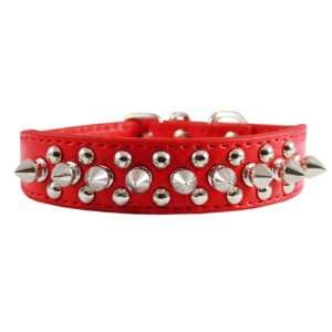   Collar 7/8 Wide for Small/X Small Breeds and Puppies