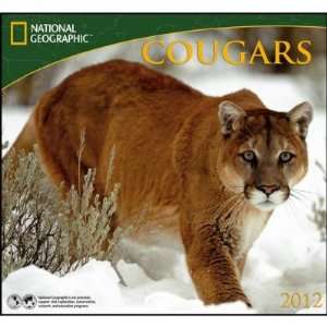  Cougars National Geographic with Map 2012 Wall Calendar 