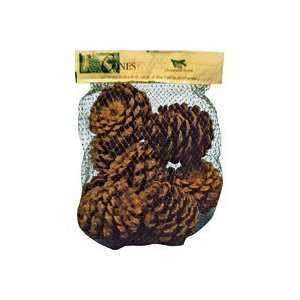   Forest Inc 70414 72 Piece Scented Pine Cone Display