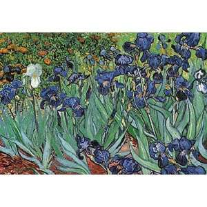  Vincent Van Gogh   Irises In The Garden Canvas: Home 