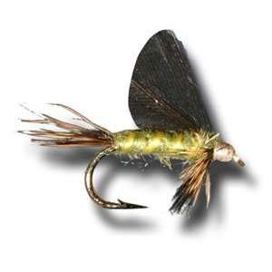  Burnt Wing Green Drake Fly Fishing Fly: Sports & Outdoors