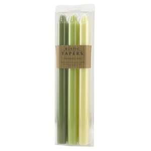     Rustic Tapers 6pc Clamshell   12in Olive Grove