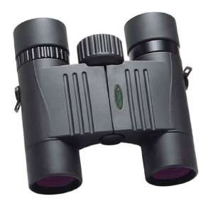  Weaver Grand Slam 10.5X25 Binocular (Black Matte Rubber 