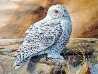 In Silent Watch Snowy Owl Kloetzke Signed Wildlife Art  