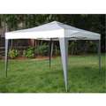   Polyester Top/Steel Frame Canopy Tent (10 x 10)  Overstock