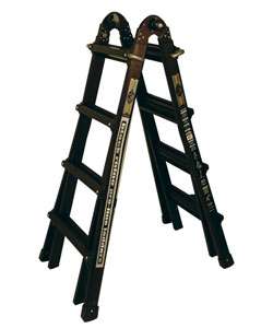 Black Rhino Professinal All in One 26 foot Ladder  