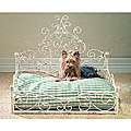 Pet Sofas & Furniture   Buy Pet Beds Online 