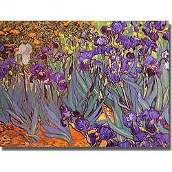 Vincent van Gogh Iris Garden Unframed Canvas Art  Overstock