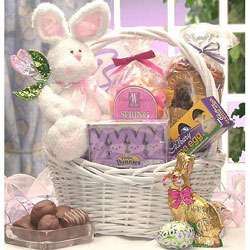 Somebunny Special Easter Gift Basket  Overstock