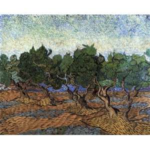   : Olive Grove: Vincent van Gogh Hand Painted Art: Home & Kitchen