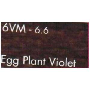   2001 Hair Color 6.6 6VM Egg Plant Violet