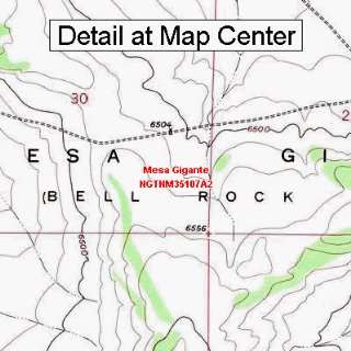 USGS Topographic Quadrangle Map   Mesa Gigante, New Mexico (Folded 