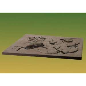 Ziterdes 12909 Mgt Dead Marshes Toys & Games