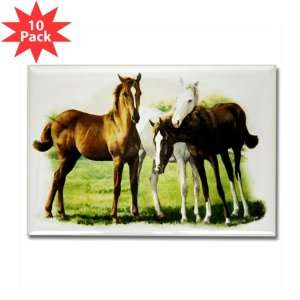  Rectangle Magnet (10 Pack) Trio of Horses: Everything Else