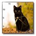 3dRose LLC Cats   Black Cat   Wall Clocks