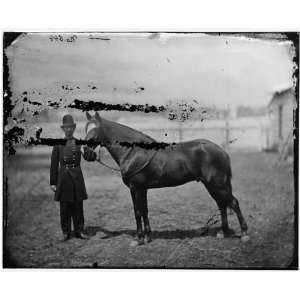  Civil War Reprint Officer with horse: Home & Kitchen