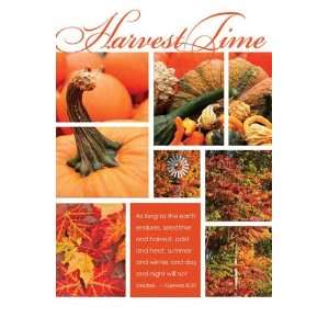   Thanksgiving   Harvest Time   Genesis 822 (100 pack) (Package of 100