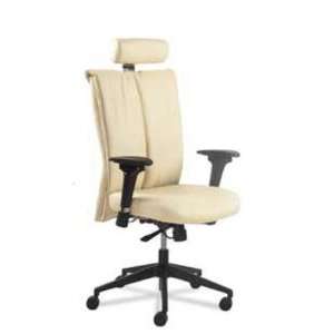  Executive High Back Office Chair Finish: Black: Office 