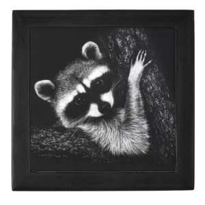  Raccoon Art Keepsake Box by  Baby