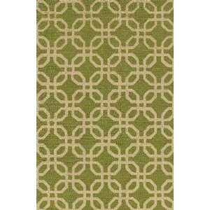   TE8 Lime Contemporary Hand Hooked Rug 3.60 x 5.60.: Home & Kitchen