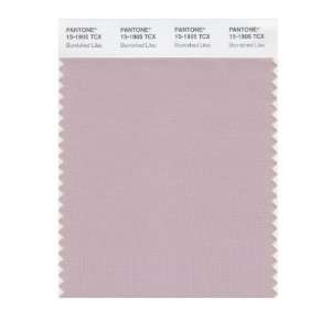  PANTONE SMART 15 1905X Color Swatch Card, Burnished Lilac 