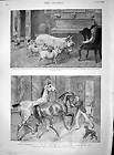 1895 animals country house deer pigs hounds dogs horses location