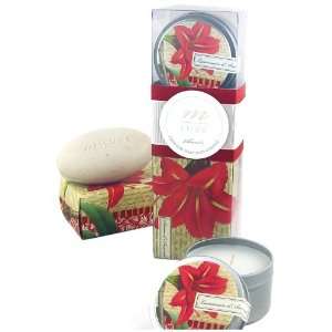   Amaryllis Mluxe Soap Candle, Acetate Box With Band & Ribbon Beauty