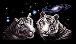 Twin White Tigers Profile w/Solar System T Shirt Tee Hoodie Tank Top 