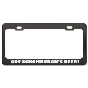 Got SchomburgkS Deer? Animals Pets Black Metal License Plate Frame 