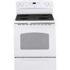 CleanDesign 30 in. Self Cleaning Freestanding Electric Range in White