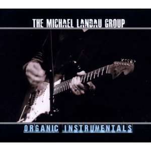 Organic Instrumentals Michael Landau  Musik