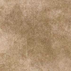  Armstrong Perspectives Sheet Weathered Sand Vinyl Flooring 
