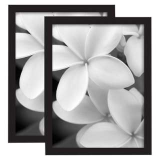 Gallery Poster Frames   Set of 2   Black (18x24) product details page
