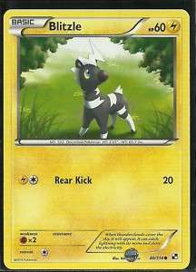 Pokemon Black & White BLITZLE Card # 40  
