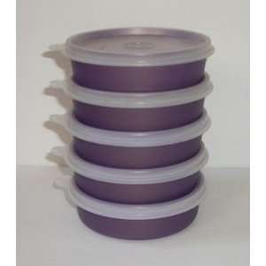   , Set of 5 Purple Storage Containers (clear seals) 