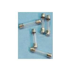  Replacement Spa Fuses 1A, AGC Glass Style (5/pk) Patio 