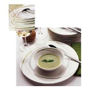  Limoges Herbe Green by Guy Degrenne   5 pc. Place Setting 
