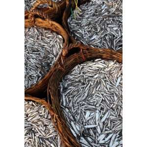    Baskets of Fish on Beach by Paul Kennedy, 48x72