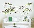 removable decorative photo tree decor decal vinvy art wall sticker