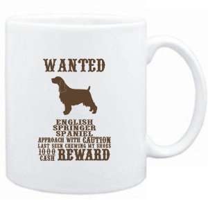   English Springer Spaniel   $1000 Cash Reward  Dogs