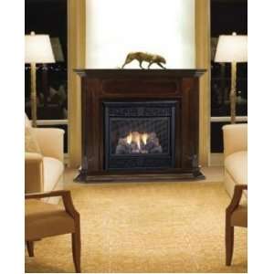   Vent Free Natural Gas Fireplace System Dark