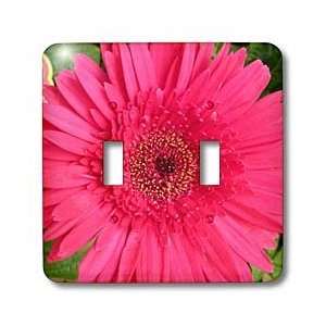 Florene Flower   Gerbera Pink   Light Switch Covers   double toggle 