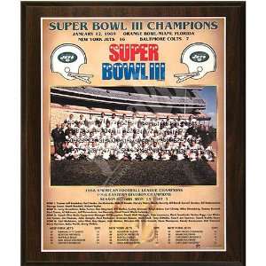  1968 New York Jets Super Bowl Champions Healy Plaque 