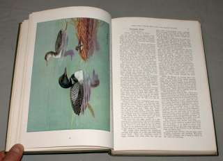   Vol. 1 & 2  The Book Of Birds  By The National Geographic Society